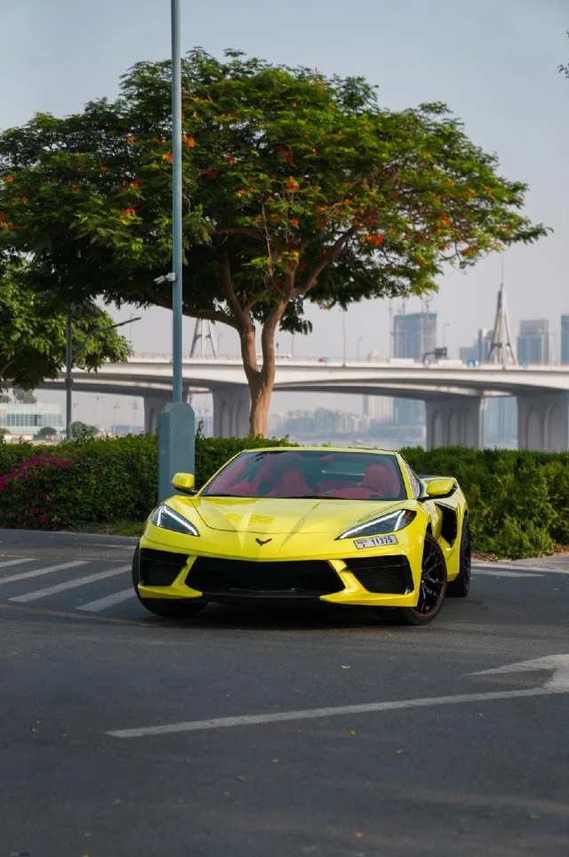 Chevrolet Corvette C8